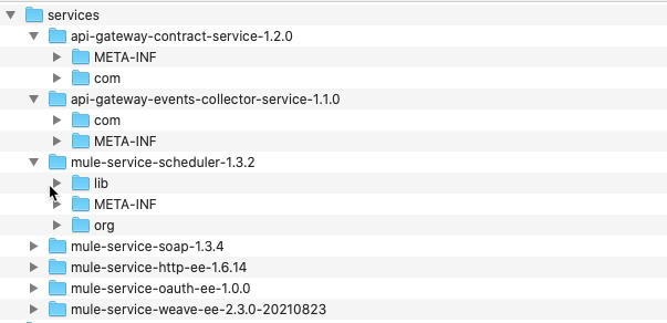 Services Folder Expanded in the runtime